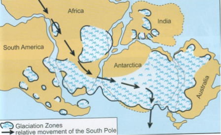 Movimento del Polo Sud (freccia) durante il periodo del Gondwana (da Nicole Grunert)