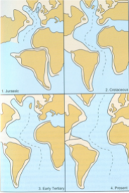 Evoluzione paleogeografica a partire dal Giurassico (da Nicole Grunert)
